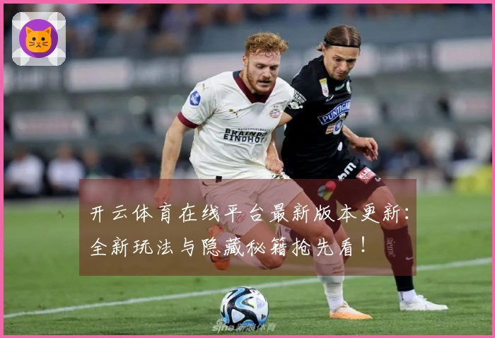 开云体育在线平台最新版本更新：全新玩法与隐藏秘籍抢先看！