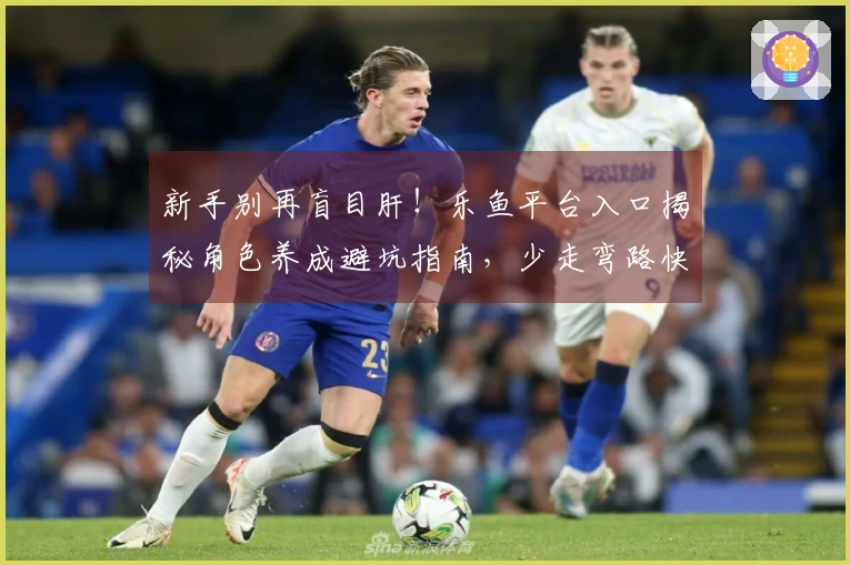 新手别再盲目肝！乐鱼平台入口揭秘角色养成避坑指南，少走弯路快人一步