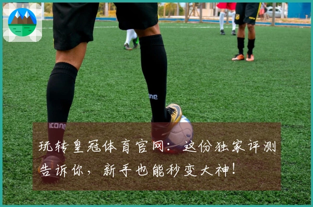 玩转皇冠体育官网：这份独家评测告诉你，新手也能秒变大神！